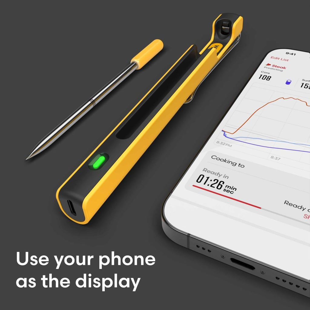 Predictive Thermometer with WiFi Booster - - - 